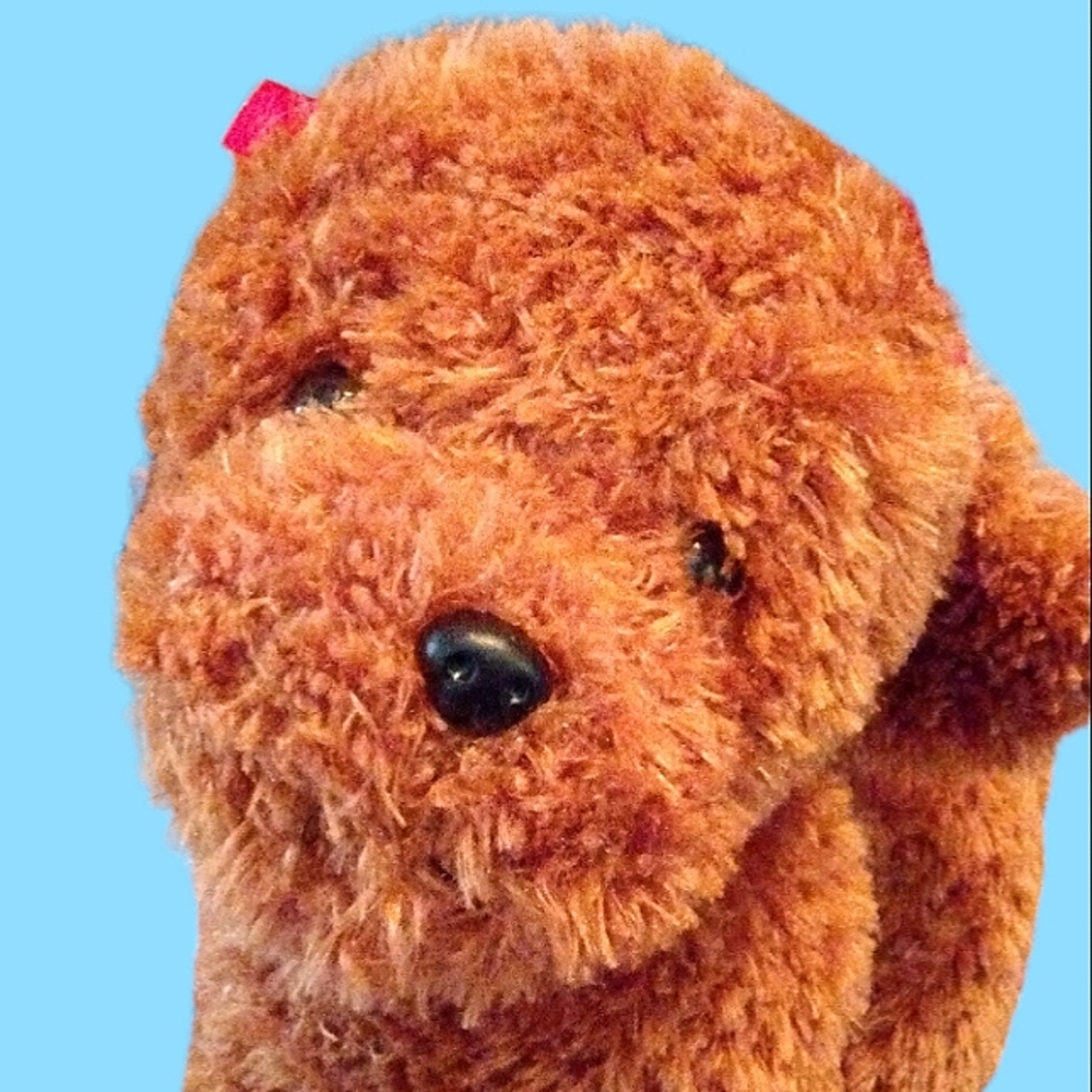 Toy's R Us Dog plushie